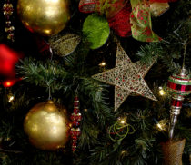 25311_38422_christmas-tree-star-background